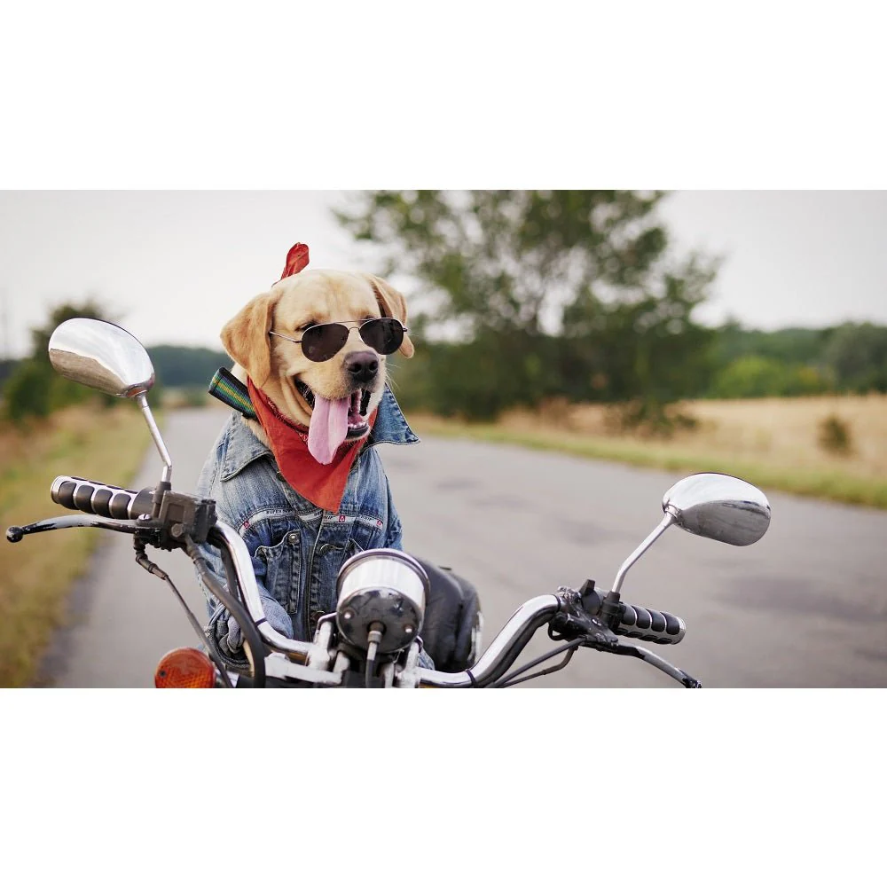 Realistic Dog on a Motorcycle Fabric Panel