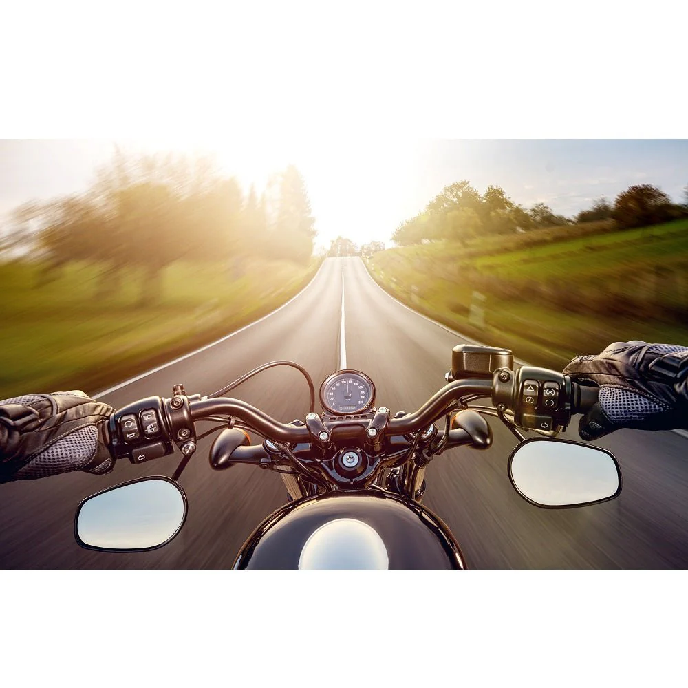 Realistic Morning Ride Fabric Panel
