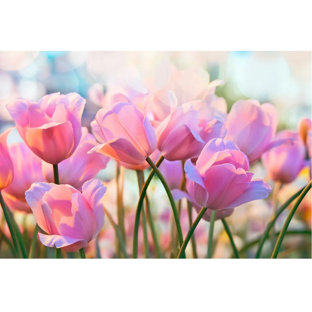 Realistic Pink Tulips Fabric Panel