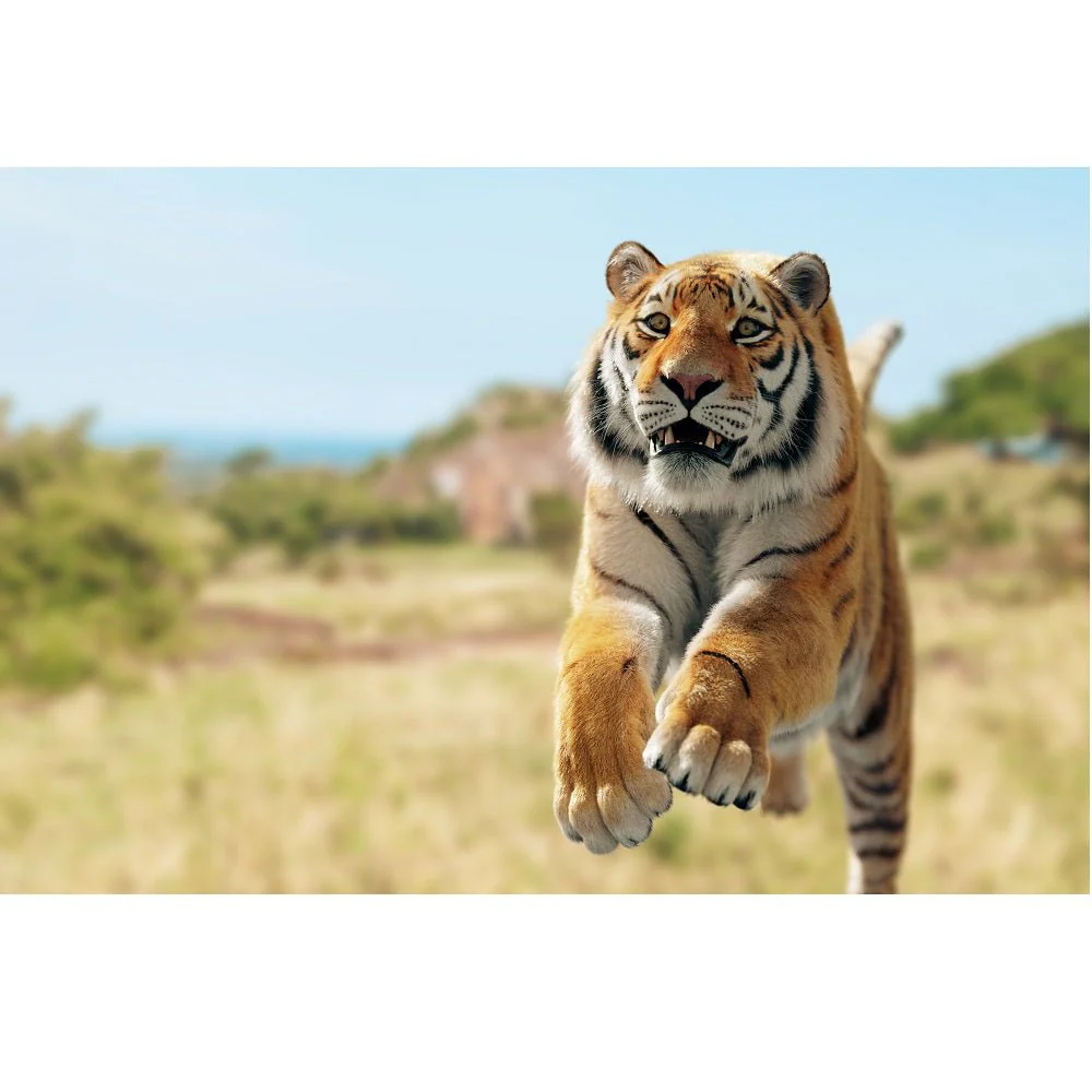 Realistic Running Tiger Fabric Panel