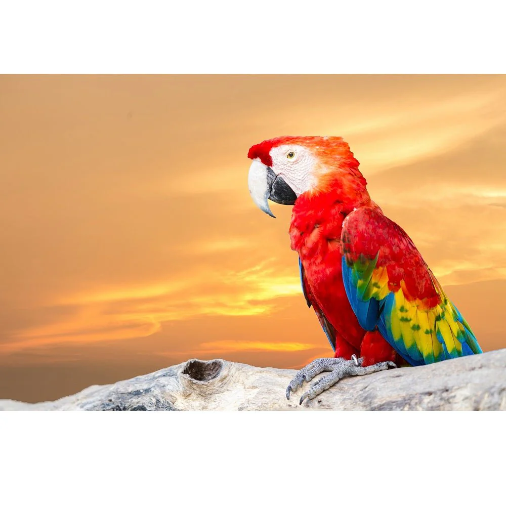 Realistic Scarlet Macaw Fabric Panel