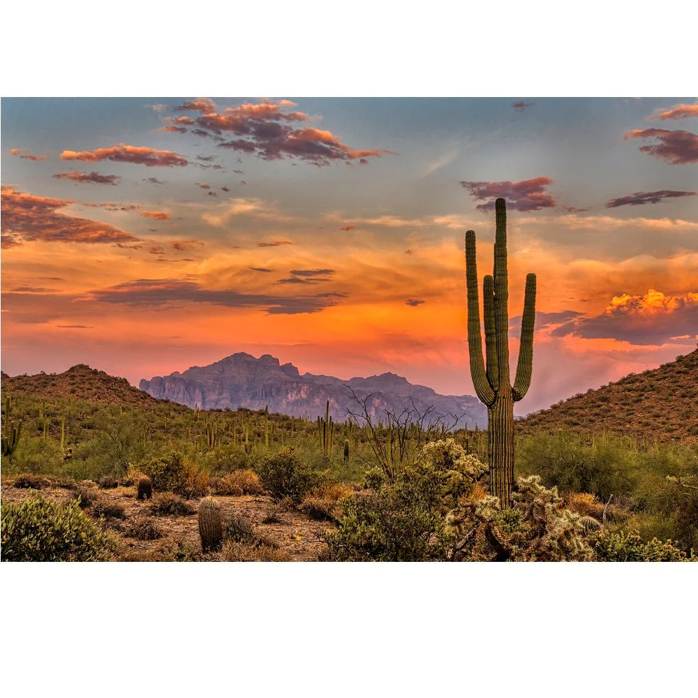 Realistic Sonoran Desert Scene Fabric Panel