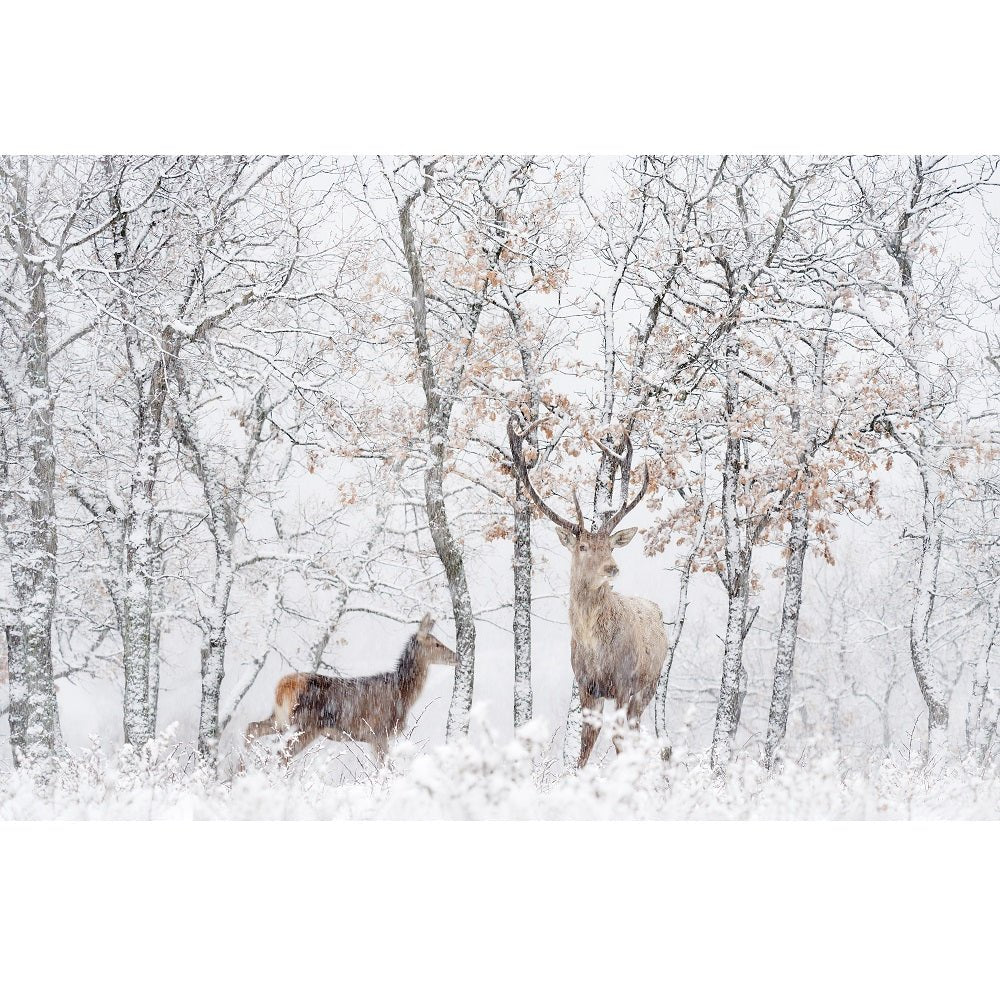 Realistic Winter Deer Scene Fabric Panel