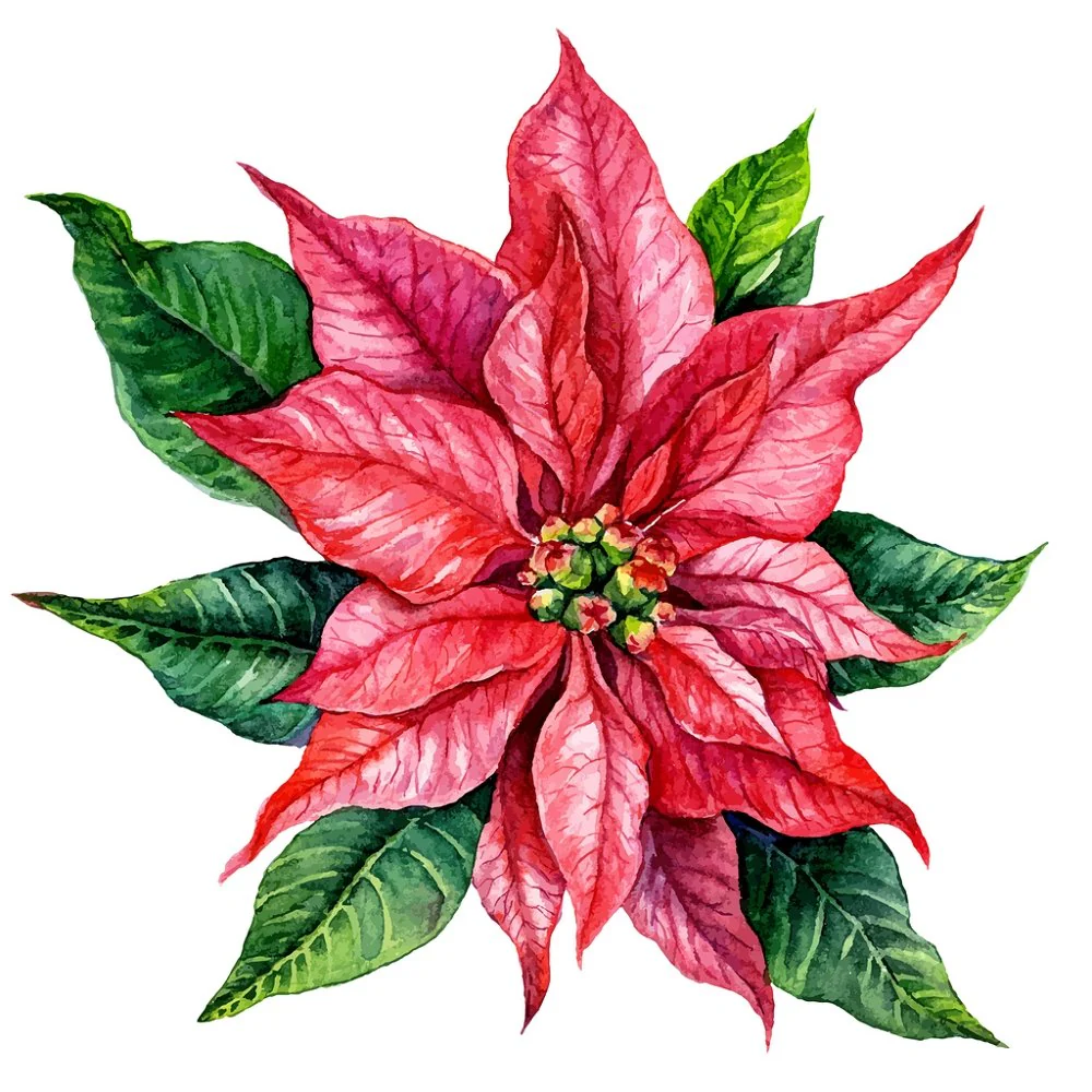 Red Poinsettia Watercolor Fabric Panel