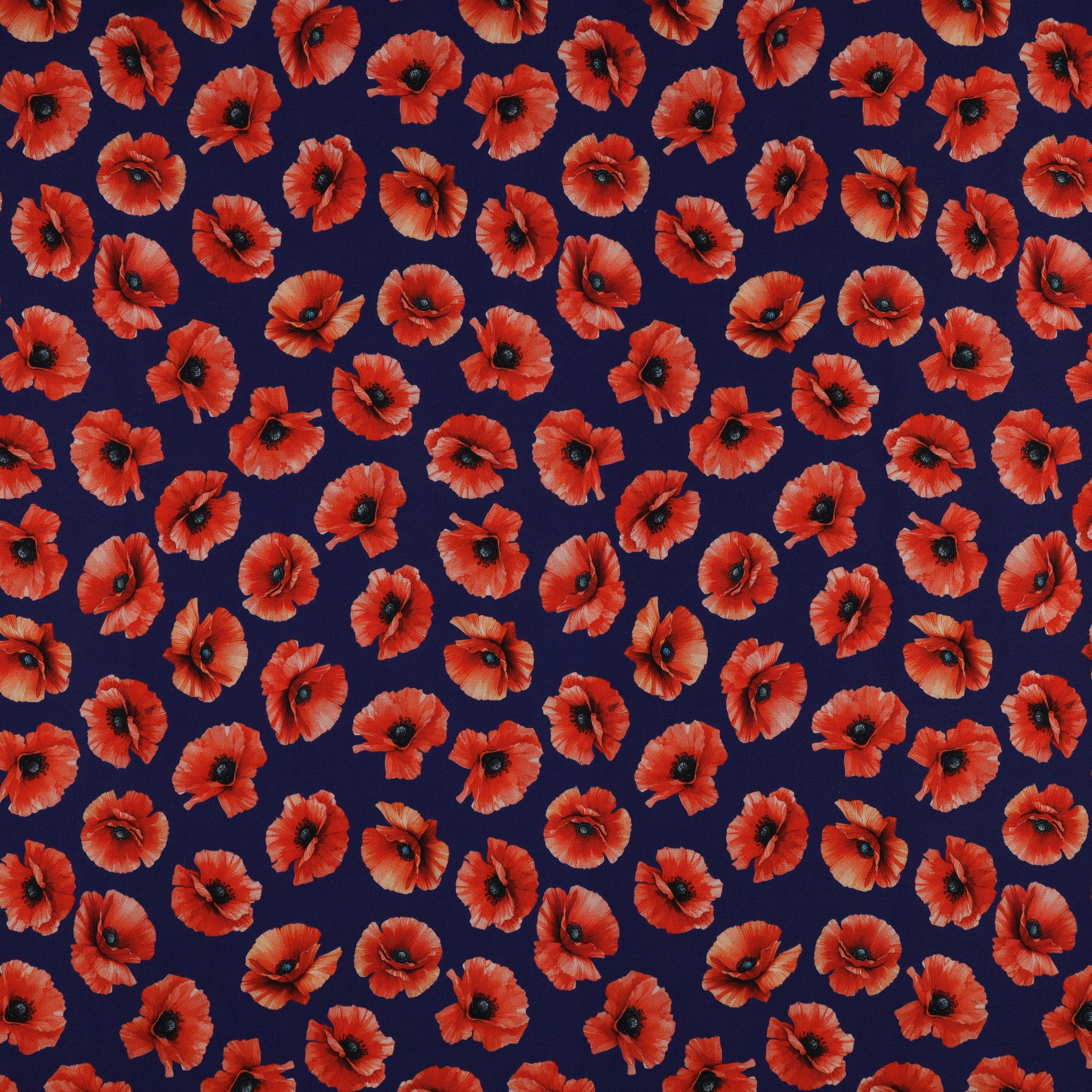 Red, White & Sweet Fabric Collection - Pretty Poppies Navy