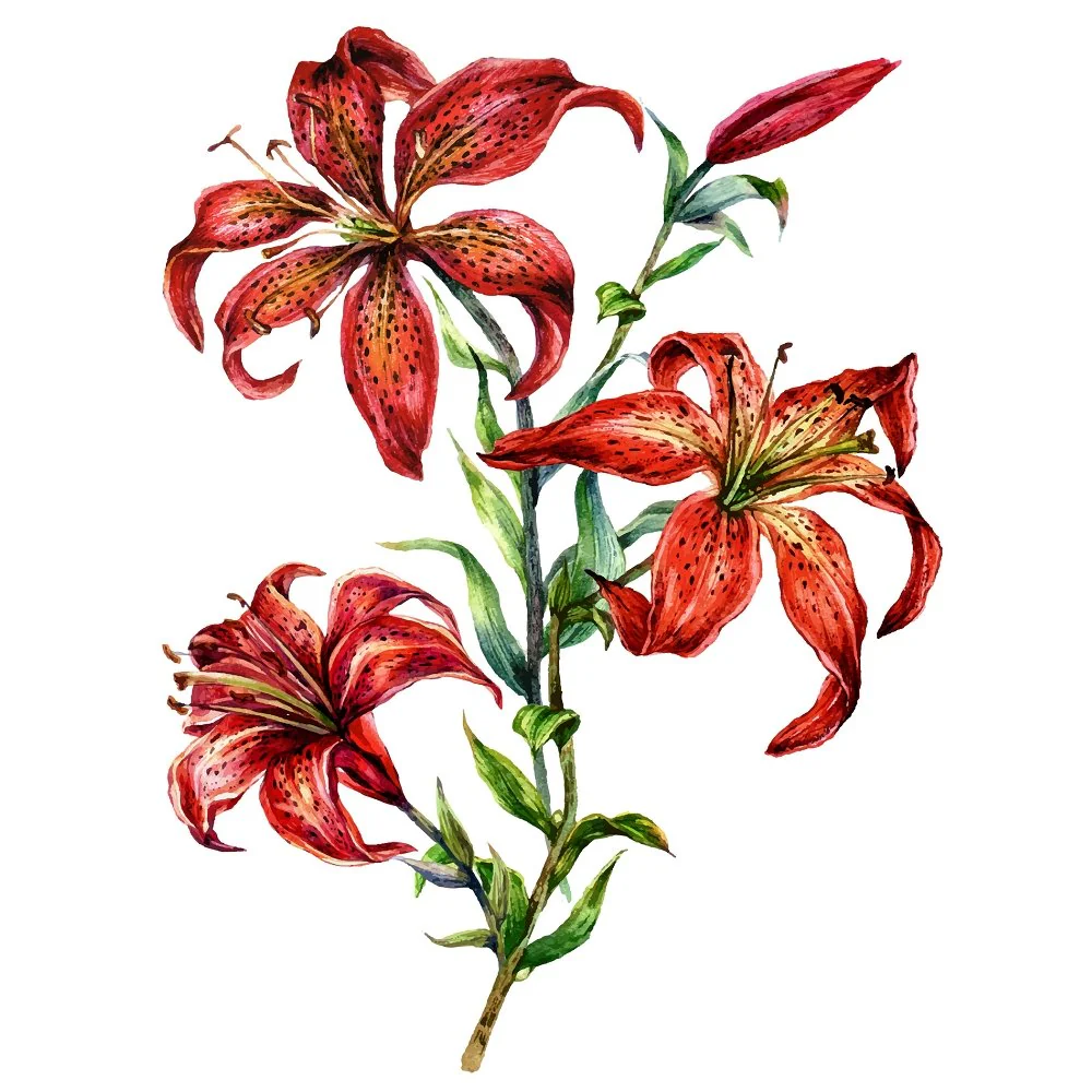 Red Wood Lily Watercolor Fabric Panel