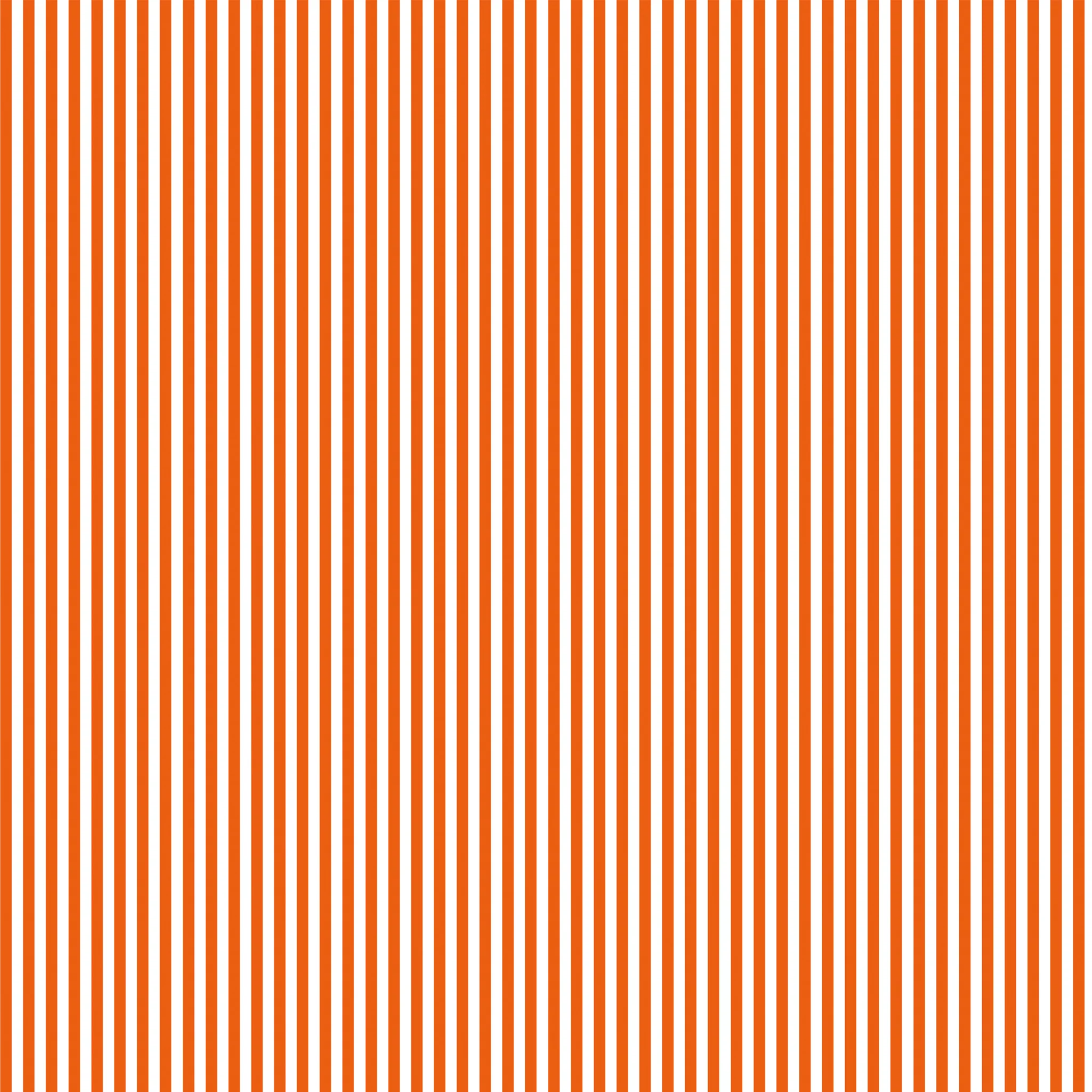 Riley Blake, 1/8" Striped Fabric Collection - Riley Orange
