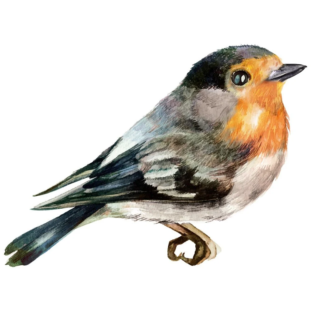 Robin Bird Fabric Panel