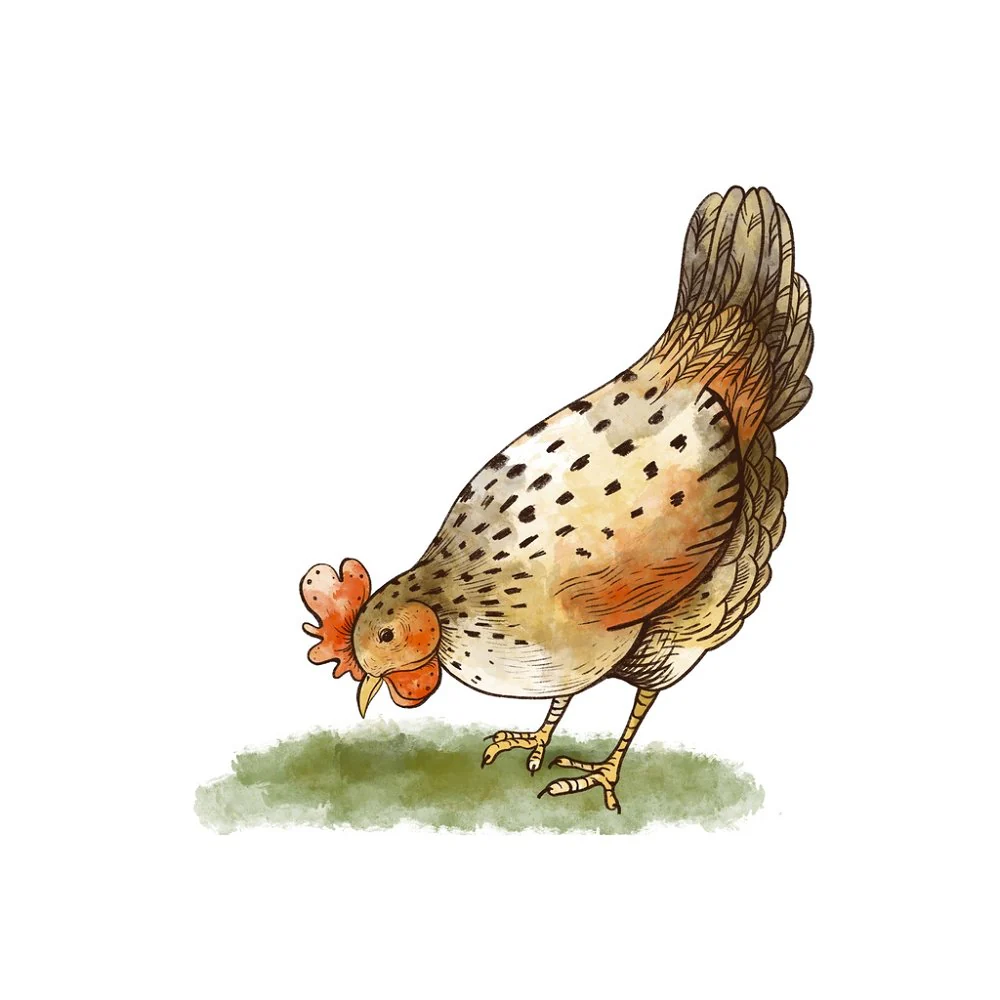 Rustic Chicken Fabric Panel