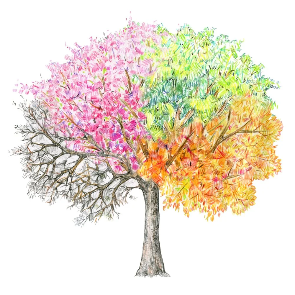 Seasons Of The Tree Fabric Panel