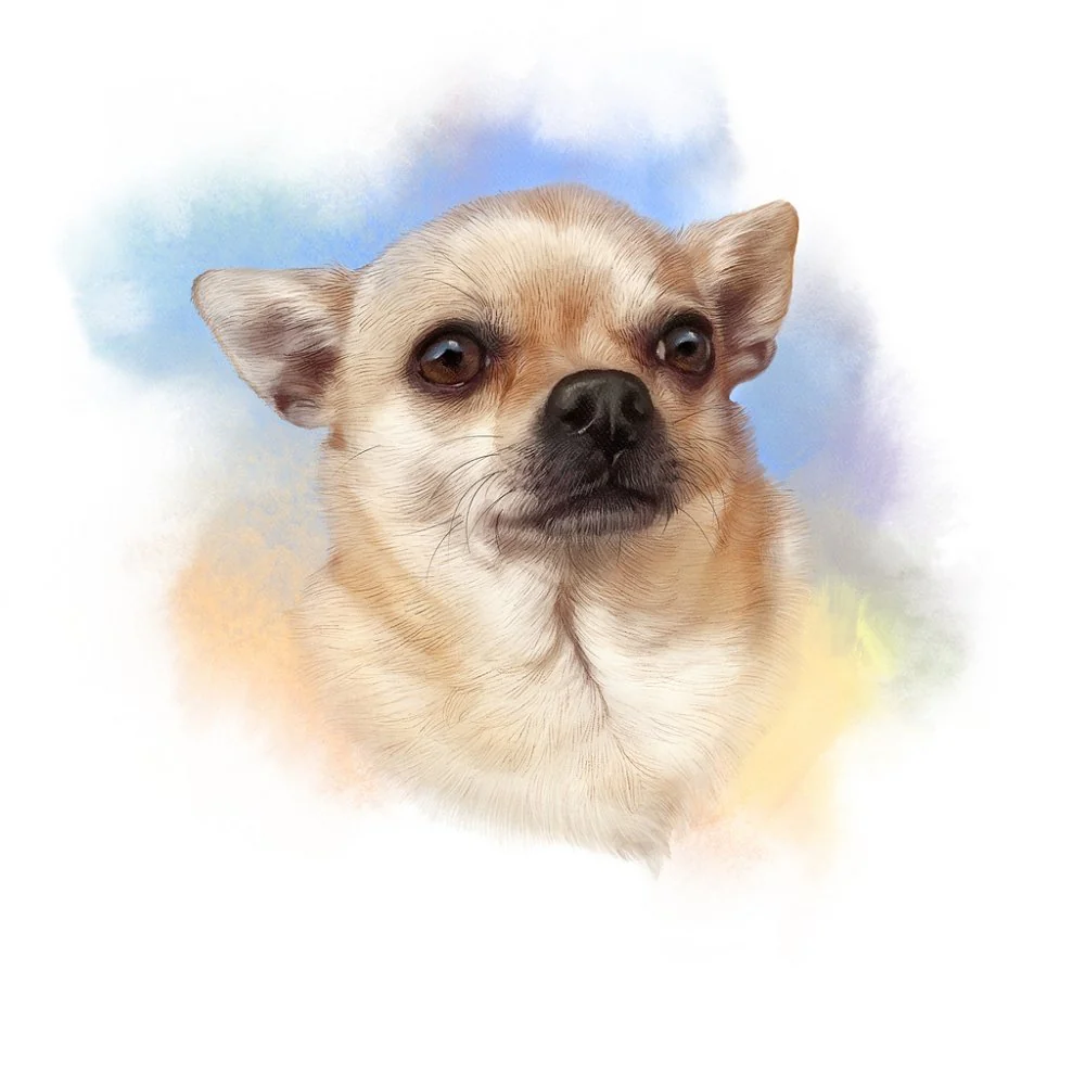 Short Eared Chihuahua Portrait Fabric Panel