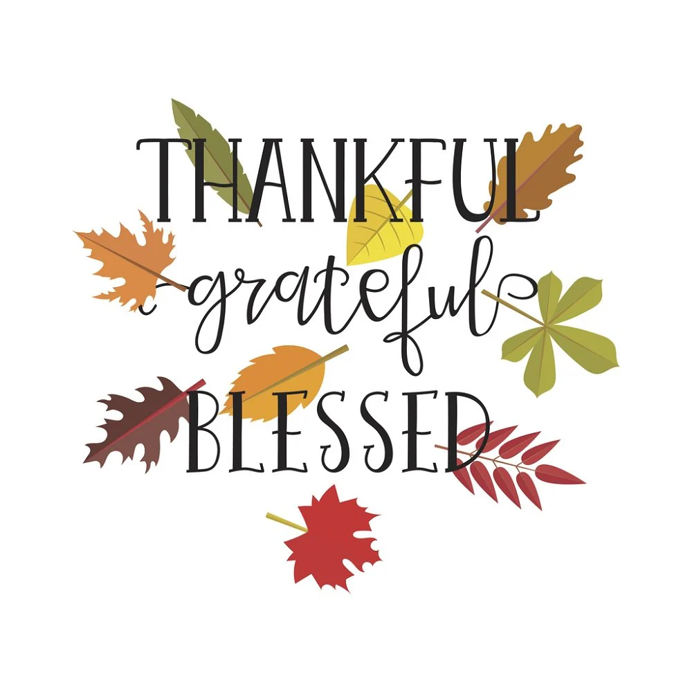 Simply Thankful Fabric Panel - Multi