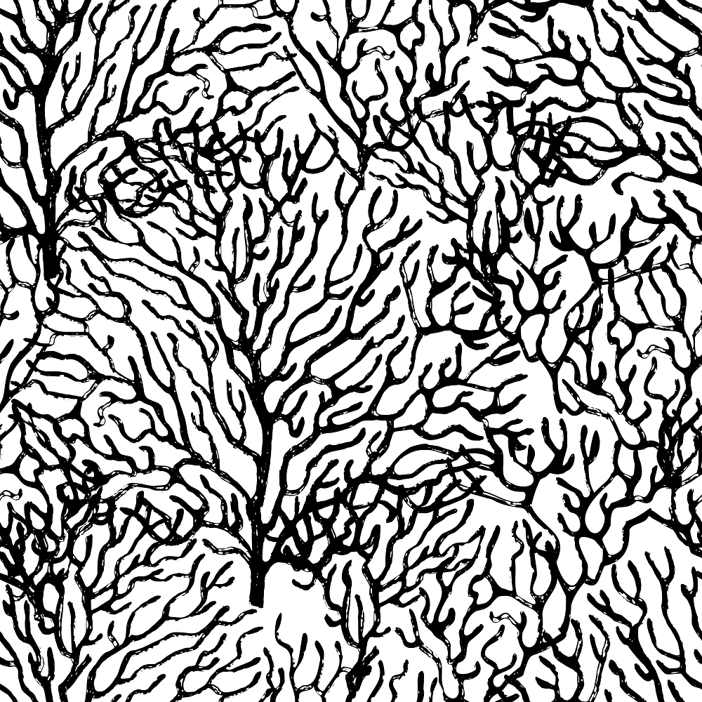 Sketched Coral Fabric - Black/White