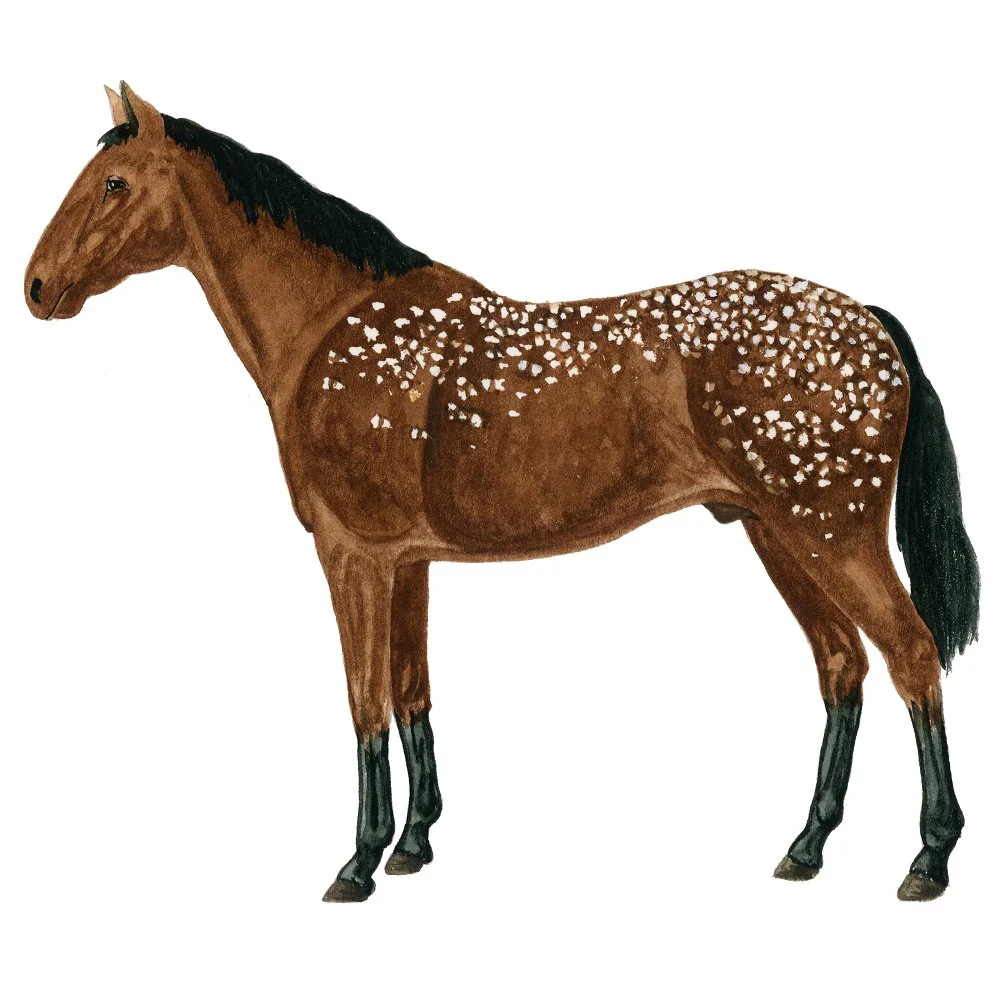 Snow-Covered Horse Illustration Fabric Panel