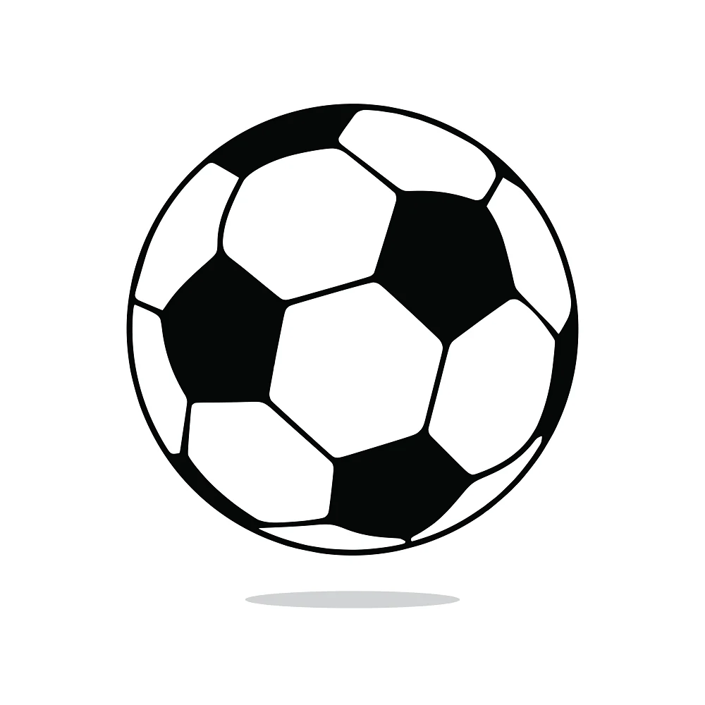 Soccer Ball Fabric Panel