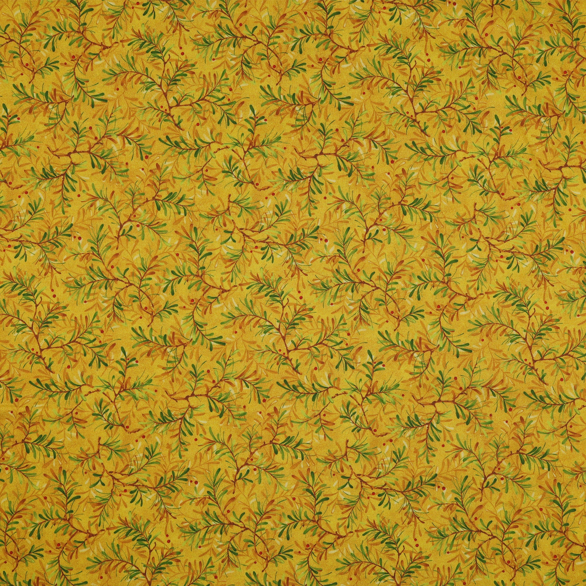 Star of Wonder, Star of Light 108" Wide Quilt Backing - Pine Boughs Gold