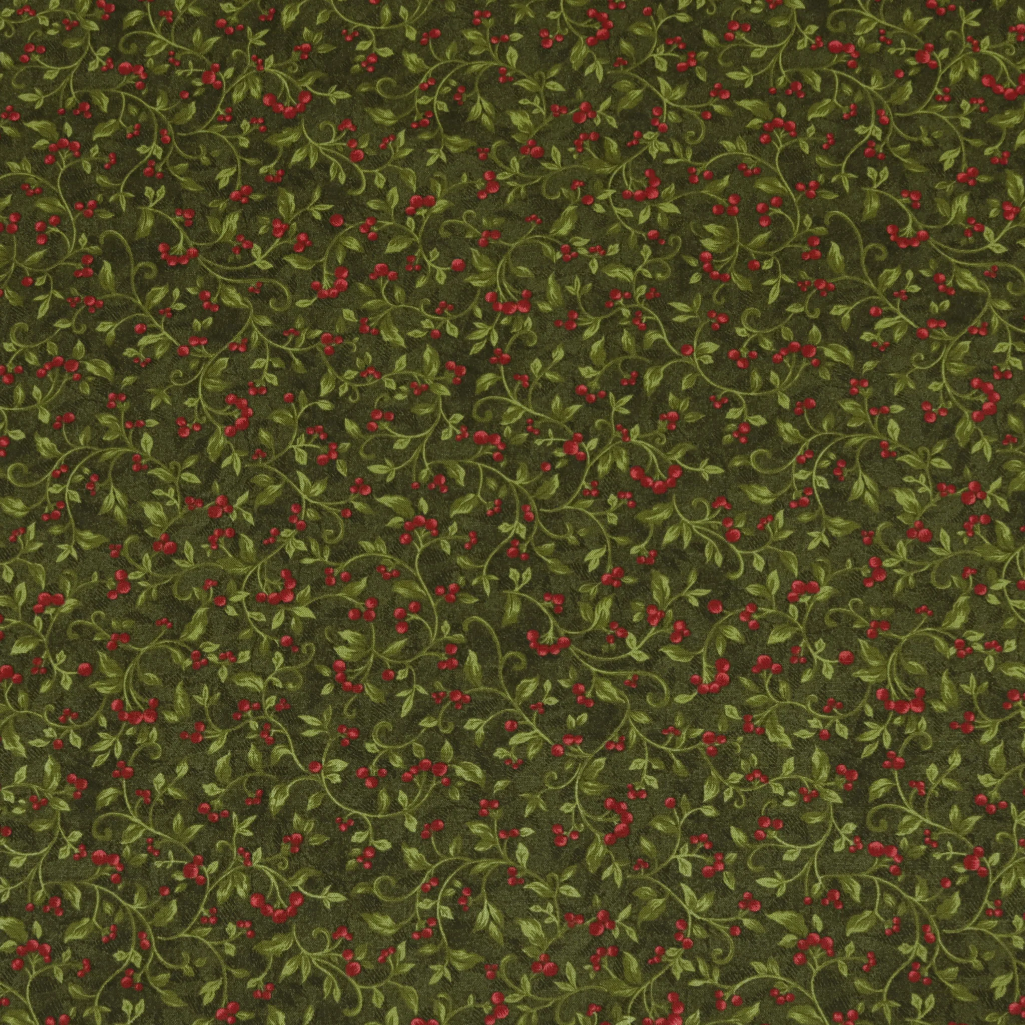 Star of Wonder, Star of Light Berries Fabric Collection - Holly