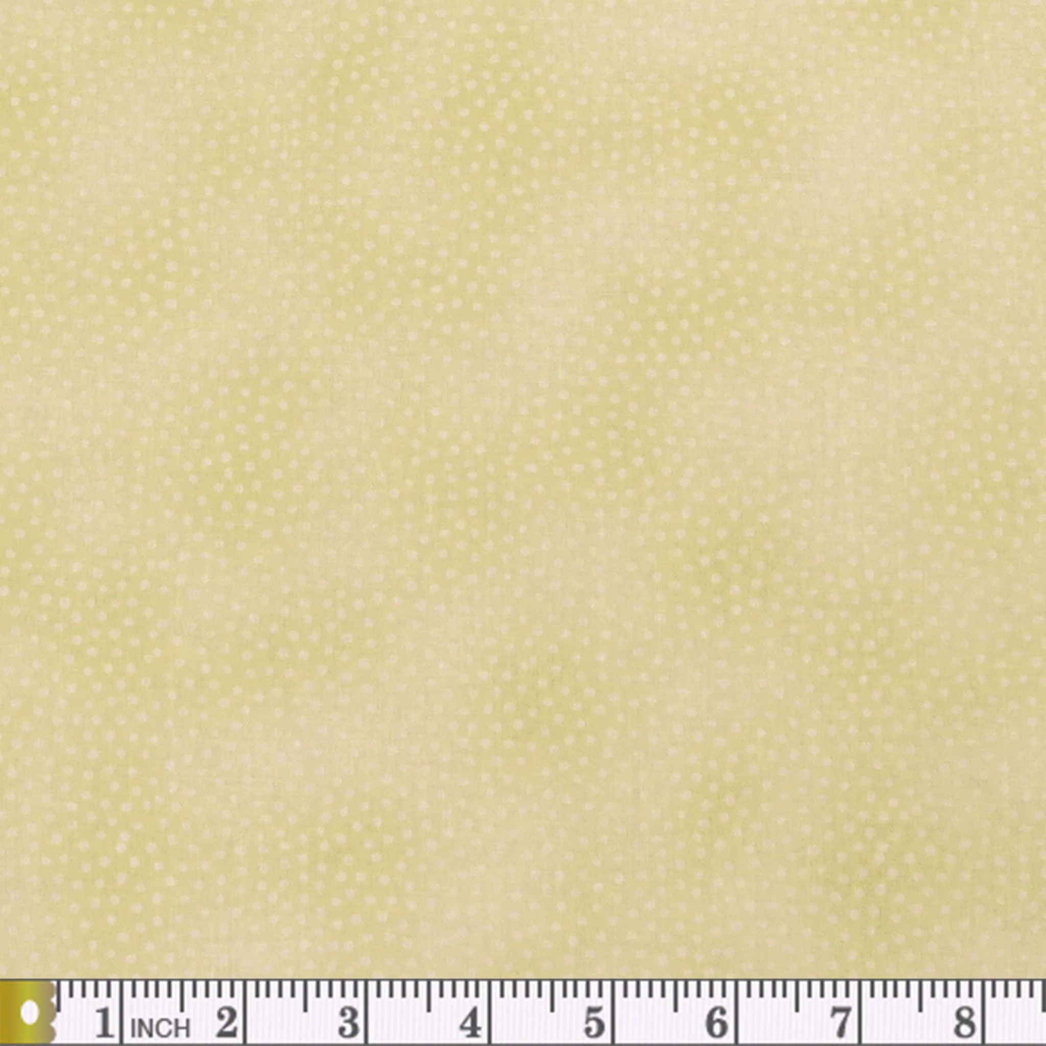 Star of Wonder, Star of Light Dots Fabric Collection - Cream - Image 2