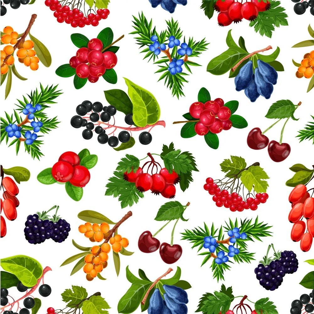 Summer Berries Fabric