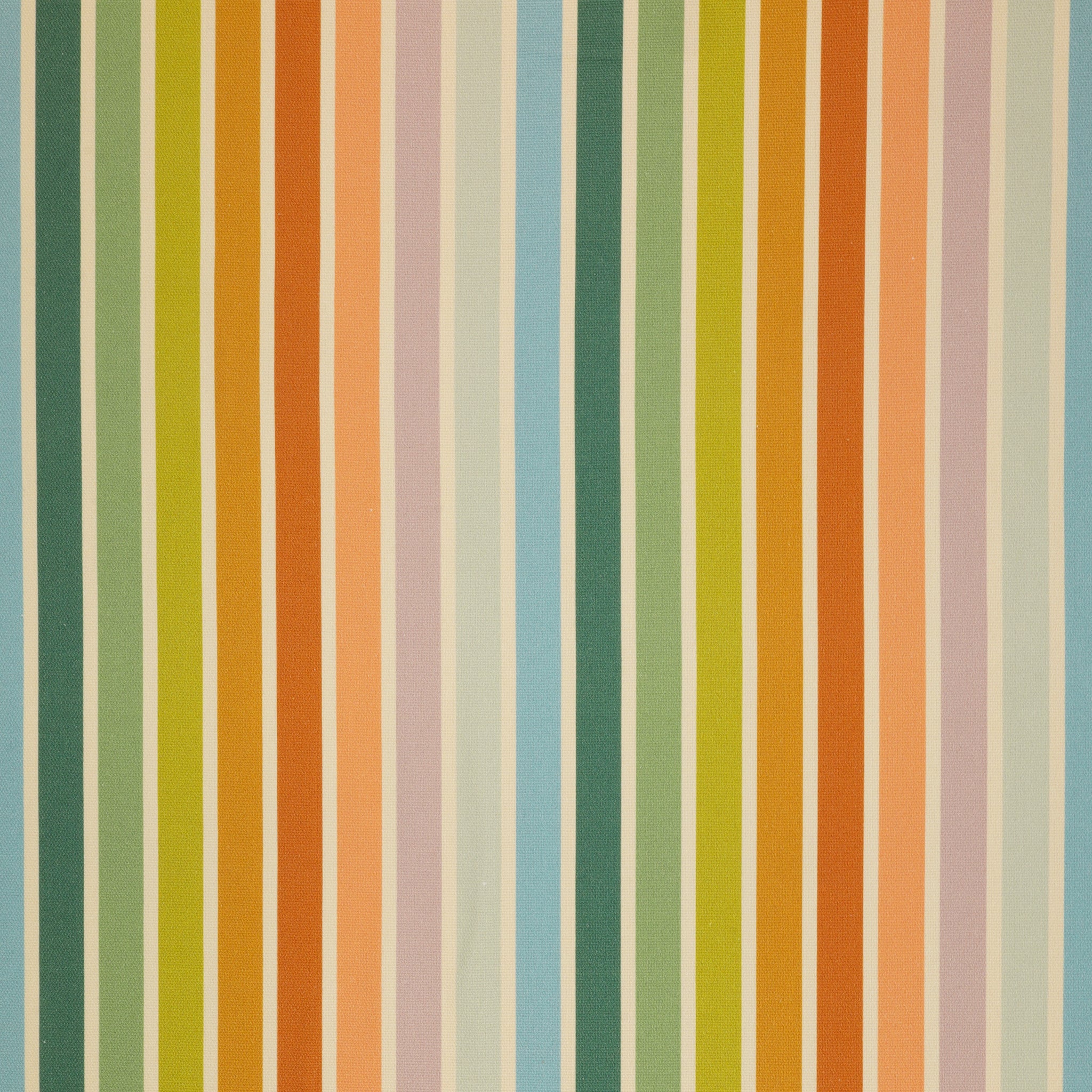 Summer Stripe in Canvas