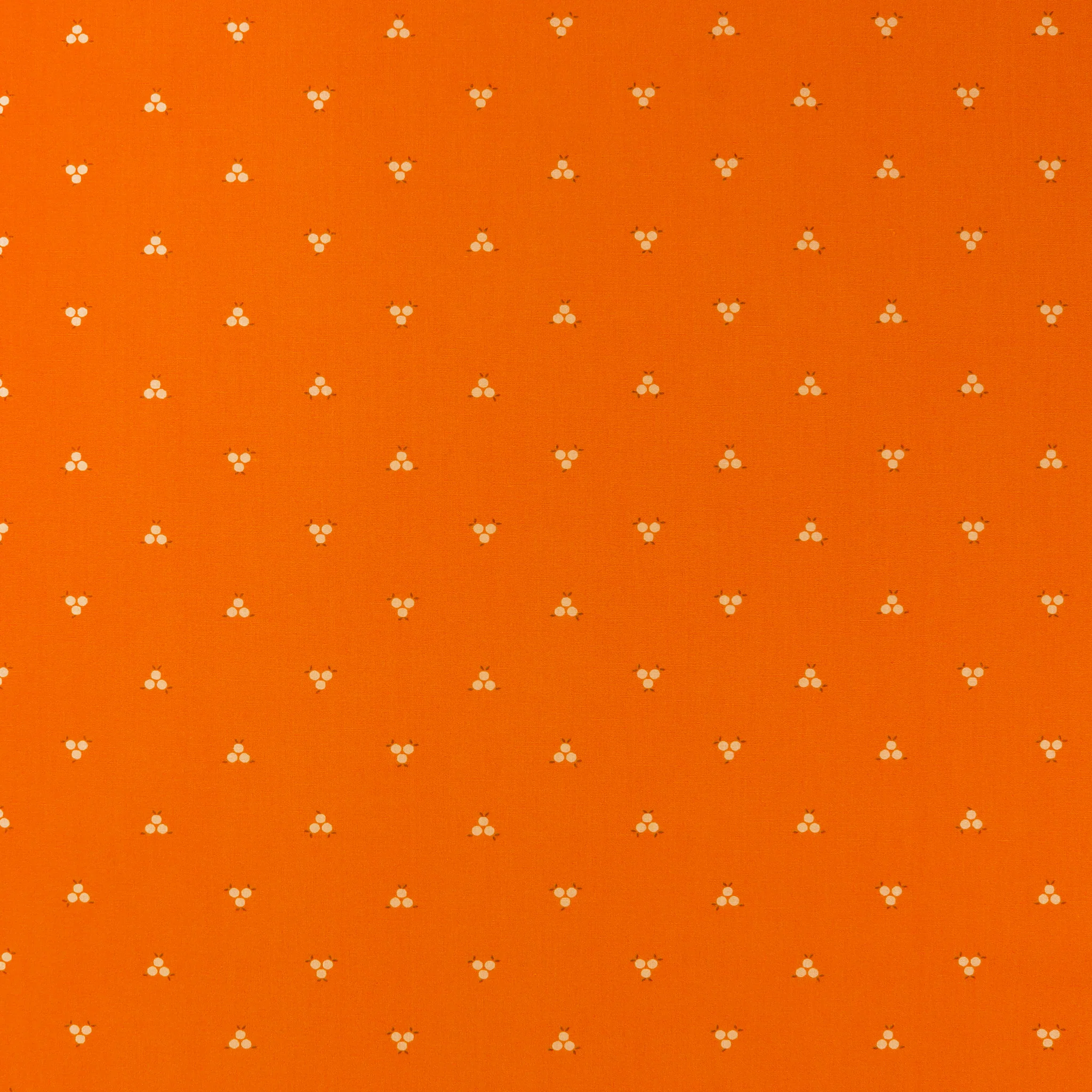 Tangerine Fabric Collection - Sweet Tangerines