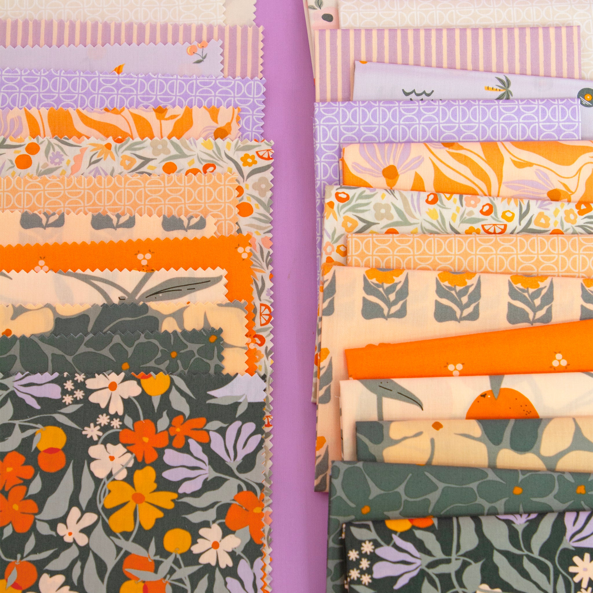 Tangerine Fabric Collection -  Orchard Bound - Image 10