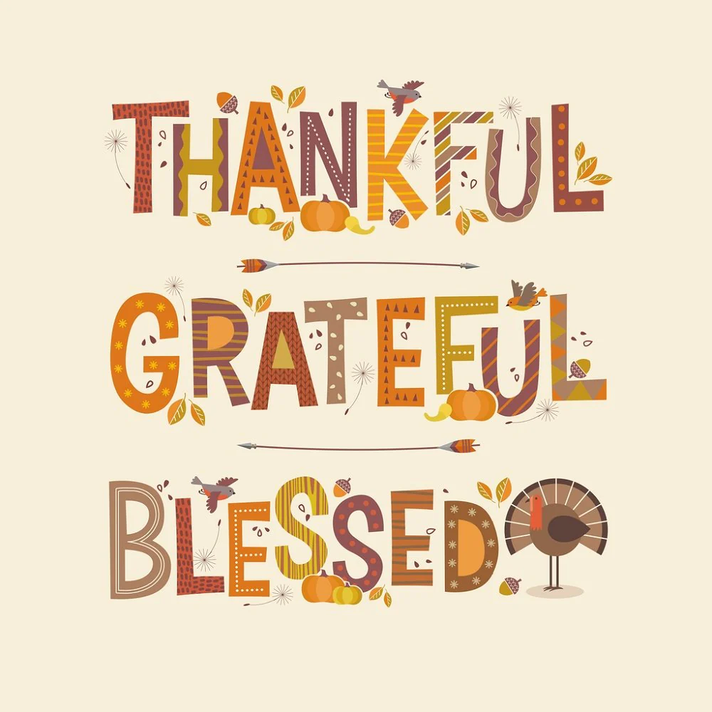 Thankful, Grateful, Blessed Fabric Panel - 17" x 18"