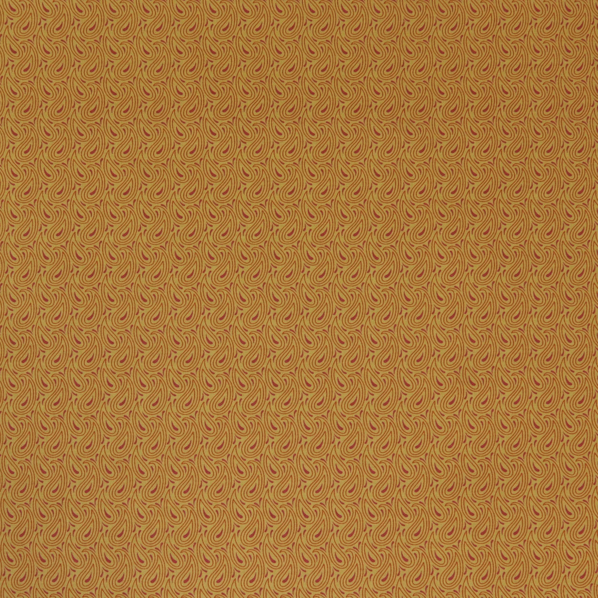 Transparency Watercolors Fabric Collection - Paisley Mango