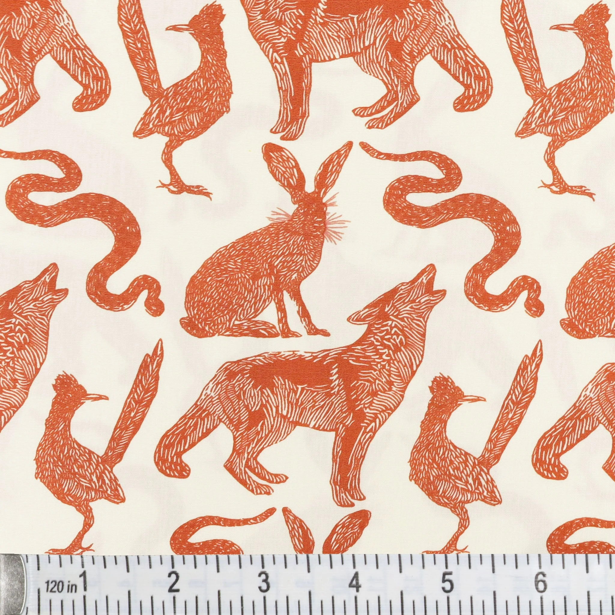 Tumbleweed Fabric Collection - Desert Life - Image 2