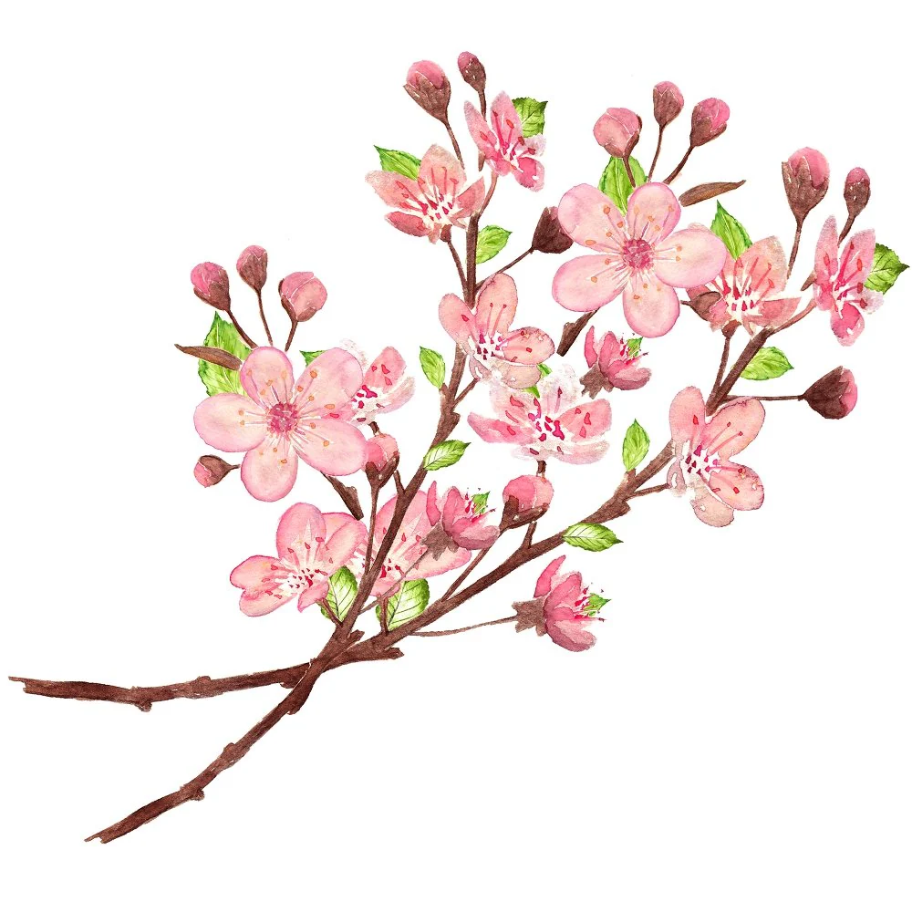 Two Cherry Blossom Branches Fabric Panel
