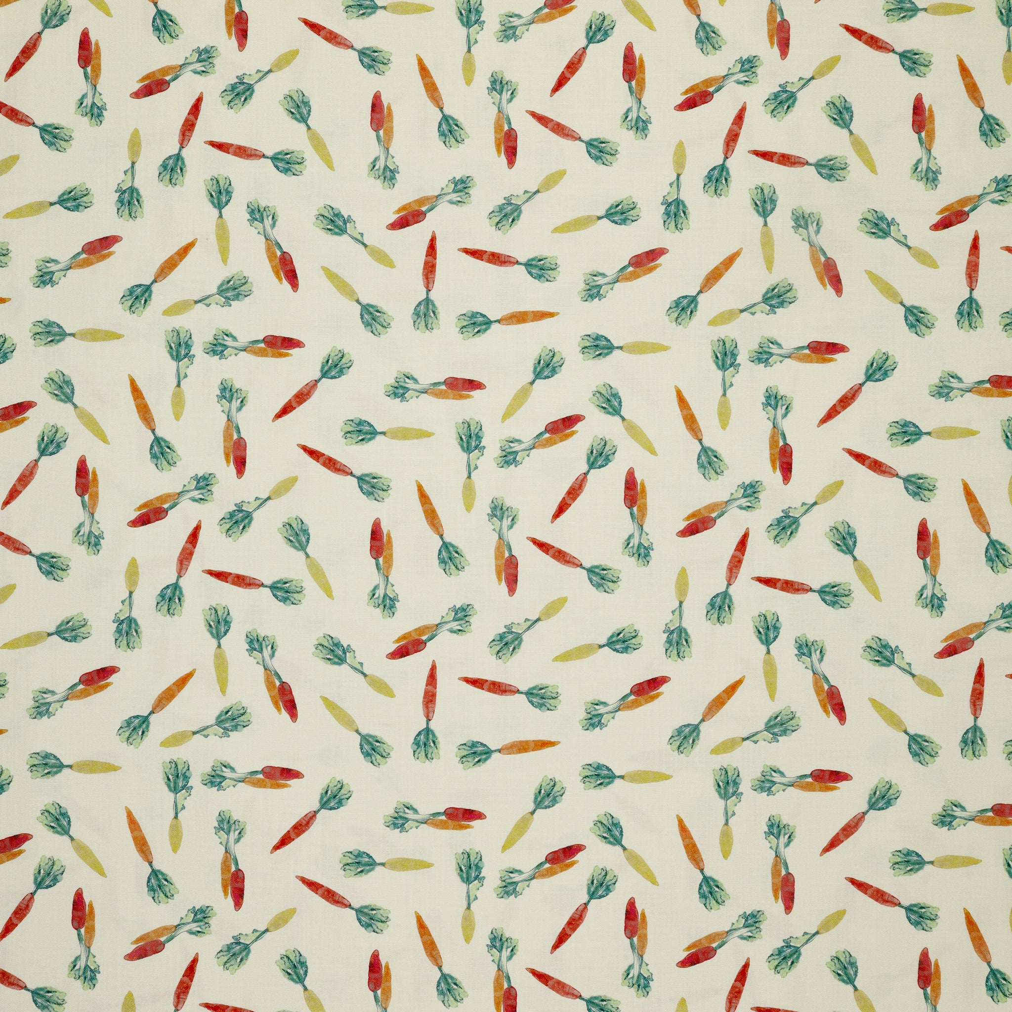 Vegetable Patch Fabric Collection - Carrots Orange