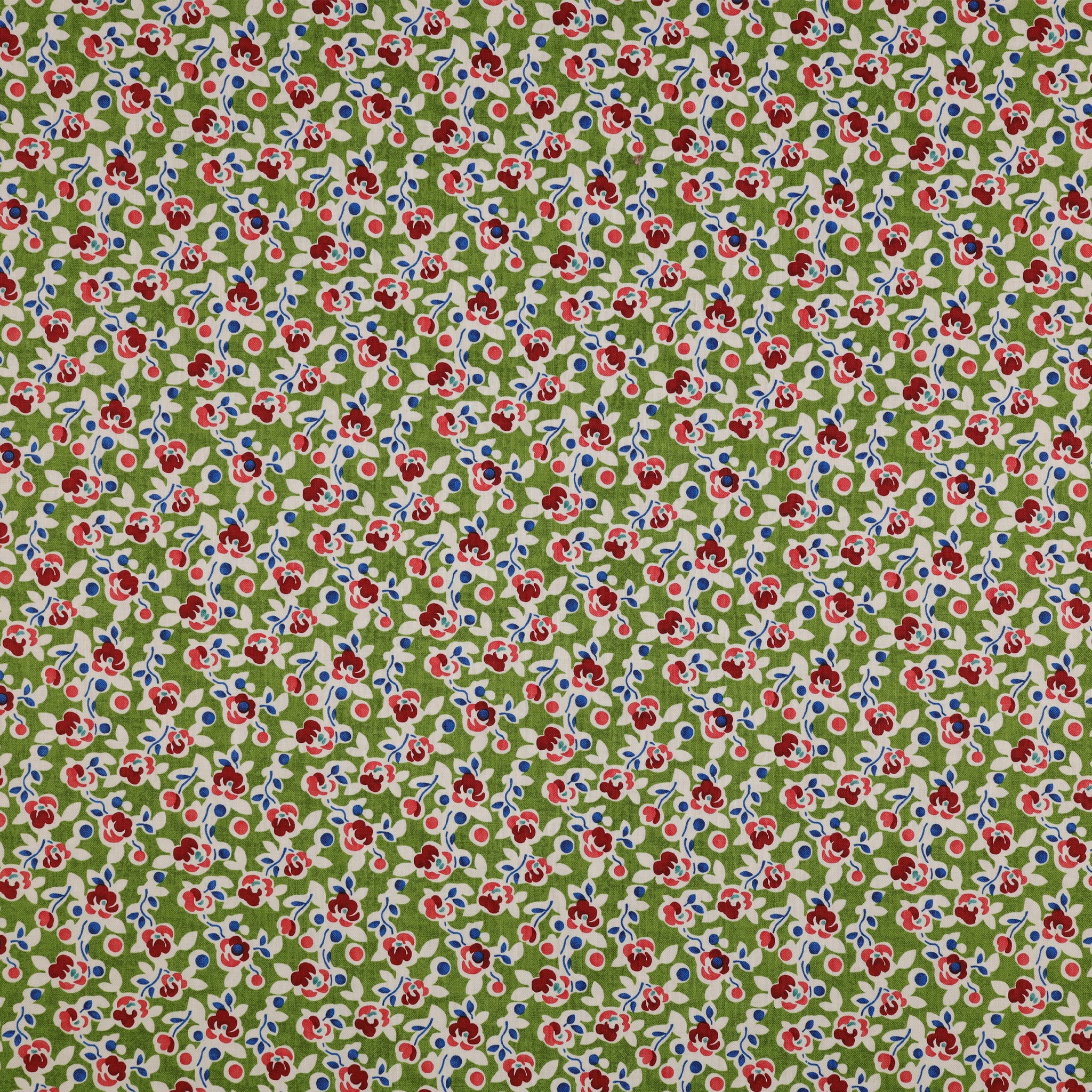 Wander Lane Fabric Collection - Posies Willow