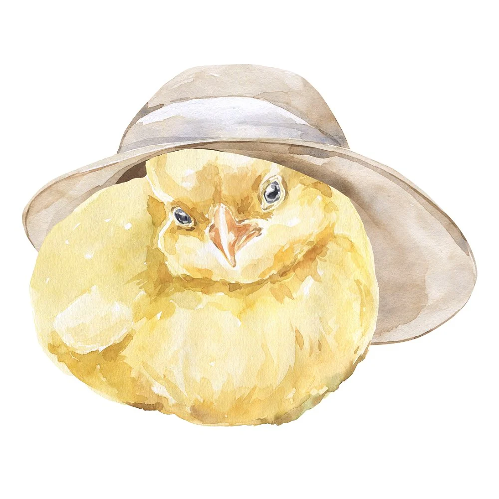 Watercolor Baby Chicken in Hat Fabric Panel