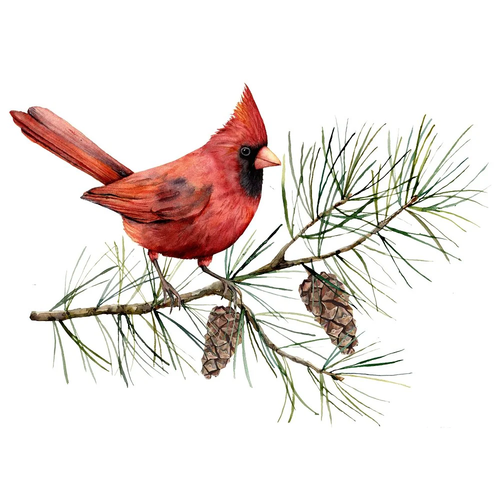 Watercolor Cardinal Fabric Panel - Red