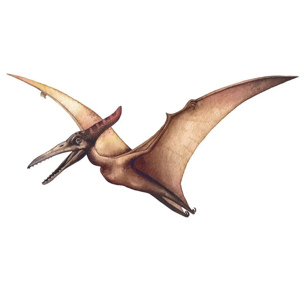 Watercolor Dinosaur Pterodactyl Style #1 Fabric Panel