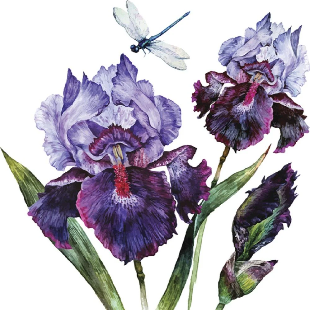 Watercolor Dragonfly & Iris Bouquet Fabric Panel - White
