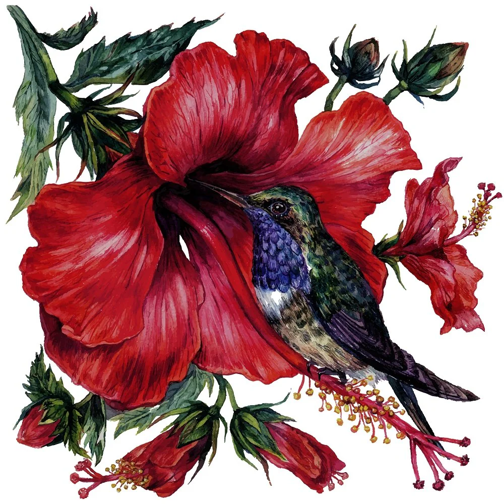 Watercolor Hibiscus & Hummingbird Fabric Panel - White