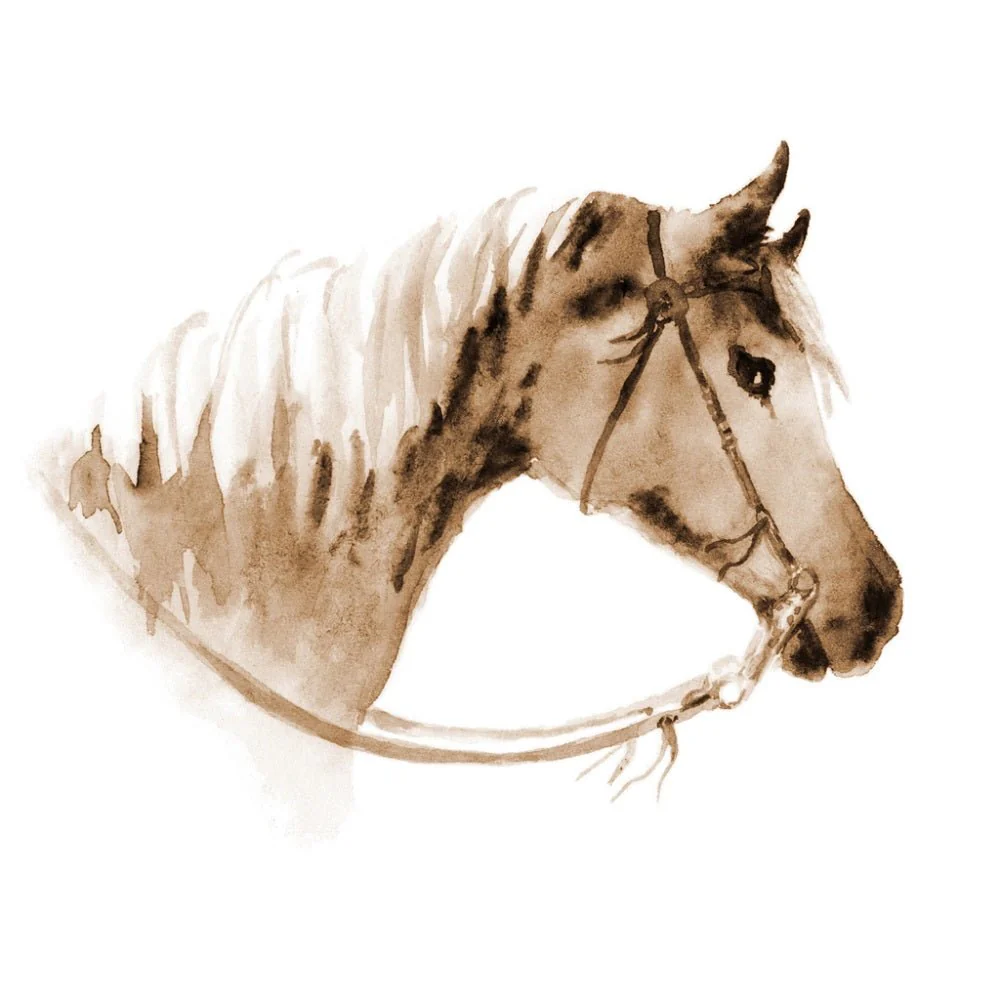Watercolor Horse Head with Bridle Fabric Panel - Brown