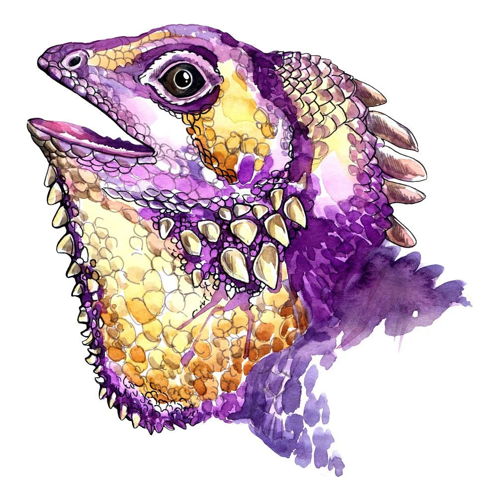 Watercolor Iguana Head Fabric Panel