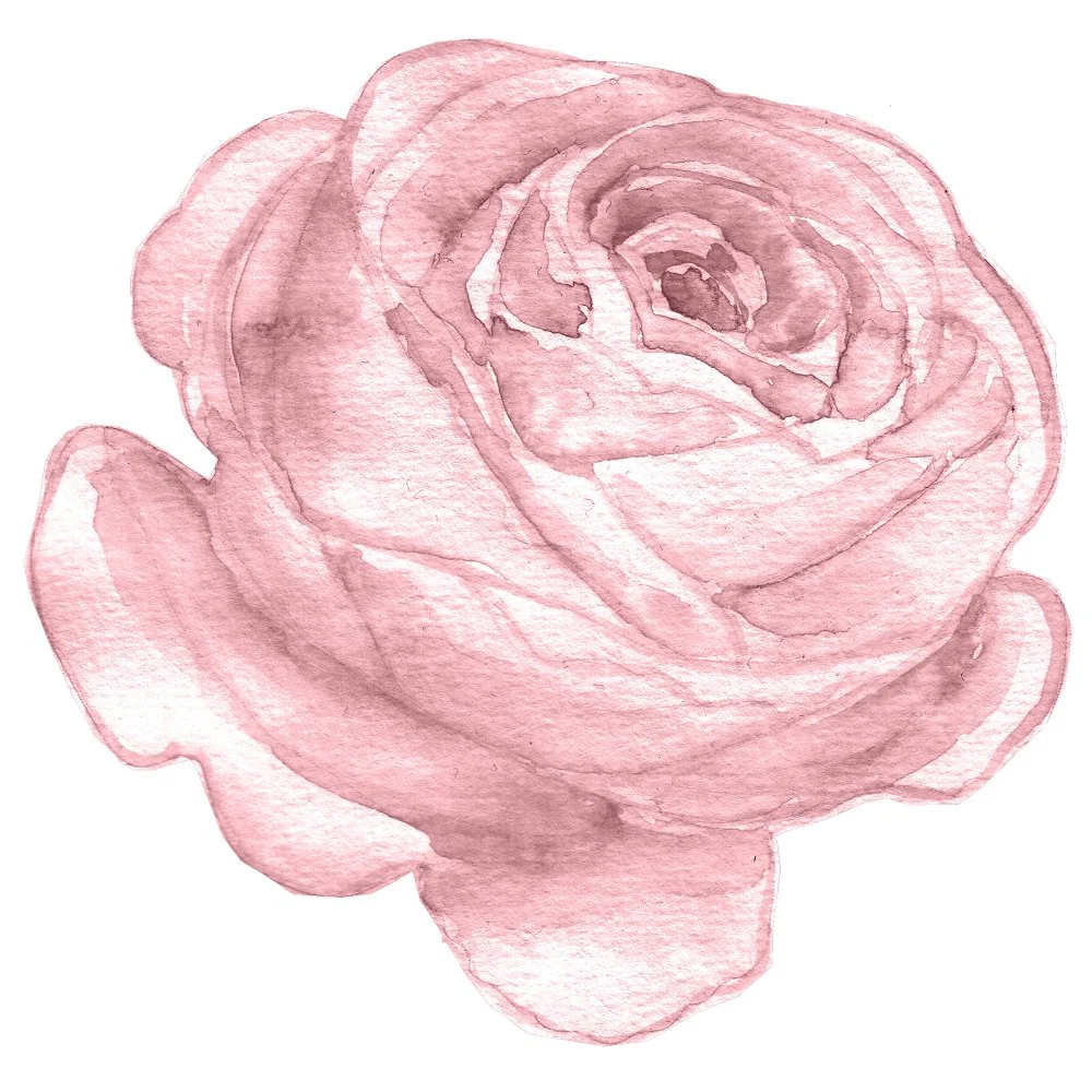 Watercolor Lavish Rose Fabric Panel - Pink