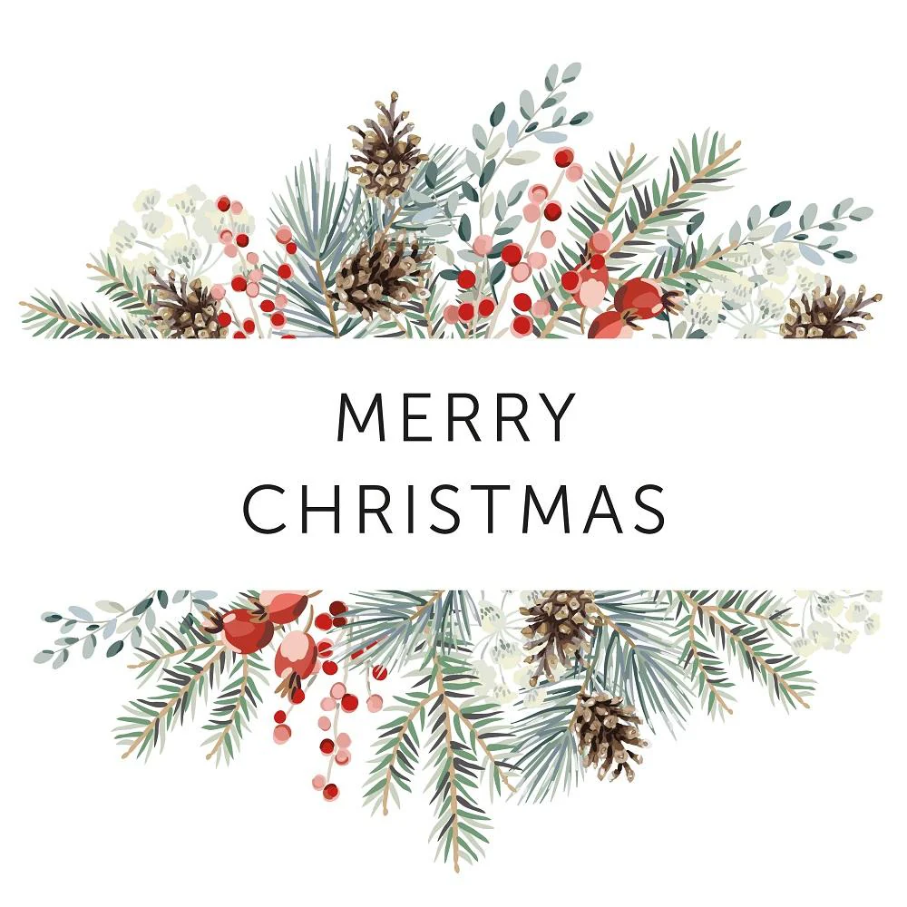 Watercolor Merry Christmas Frame Fabric Panel