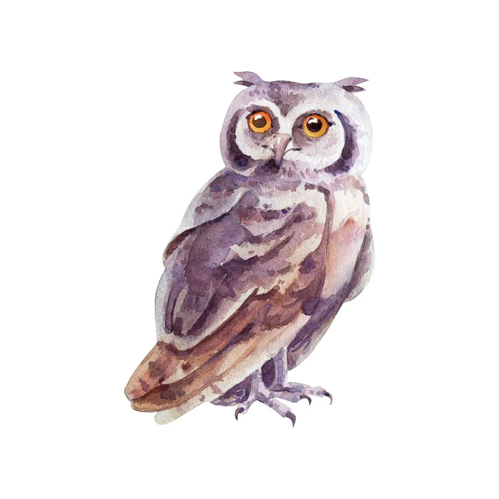 Watercolor Owl Fabric Panel - Multi