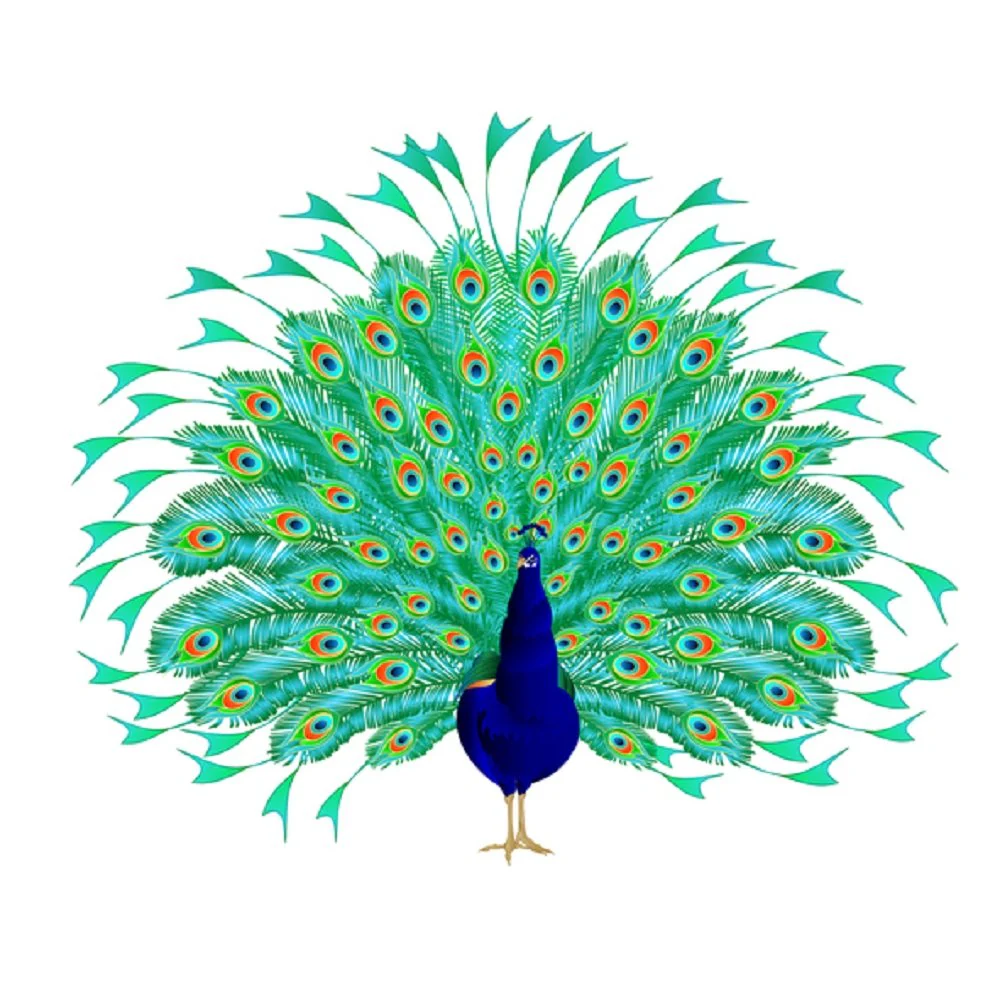 Watercolor Peacock Beauty Fabric Panel - White