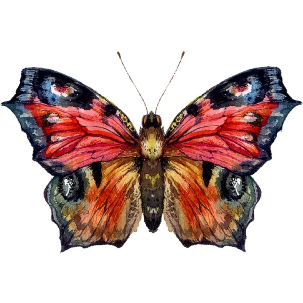 Watercolor Peacock Butterfly Fabric Panel - Red/Orange