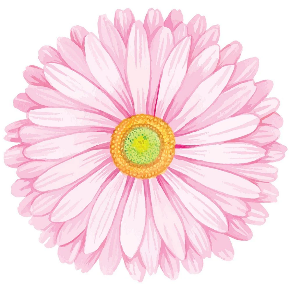 Watercolor Pink Gerbera Flowers Fabric Panel