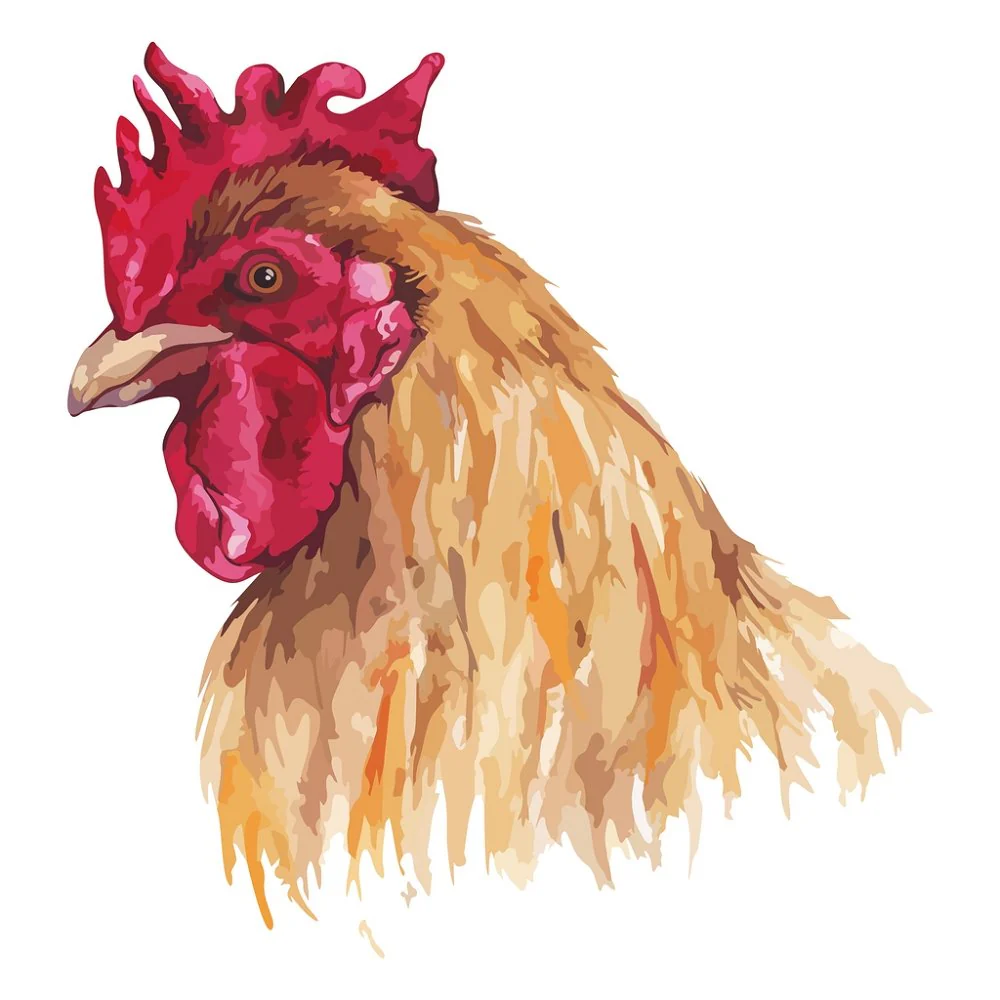 Watercolor Rooster Fabric Panel - Brown