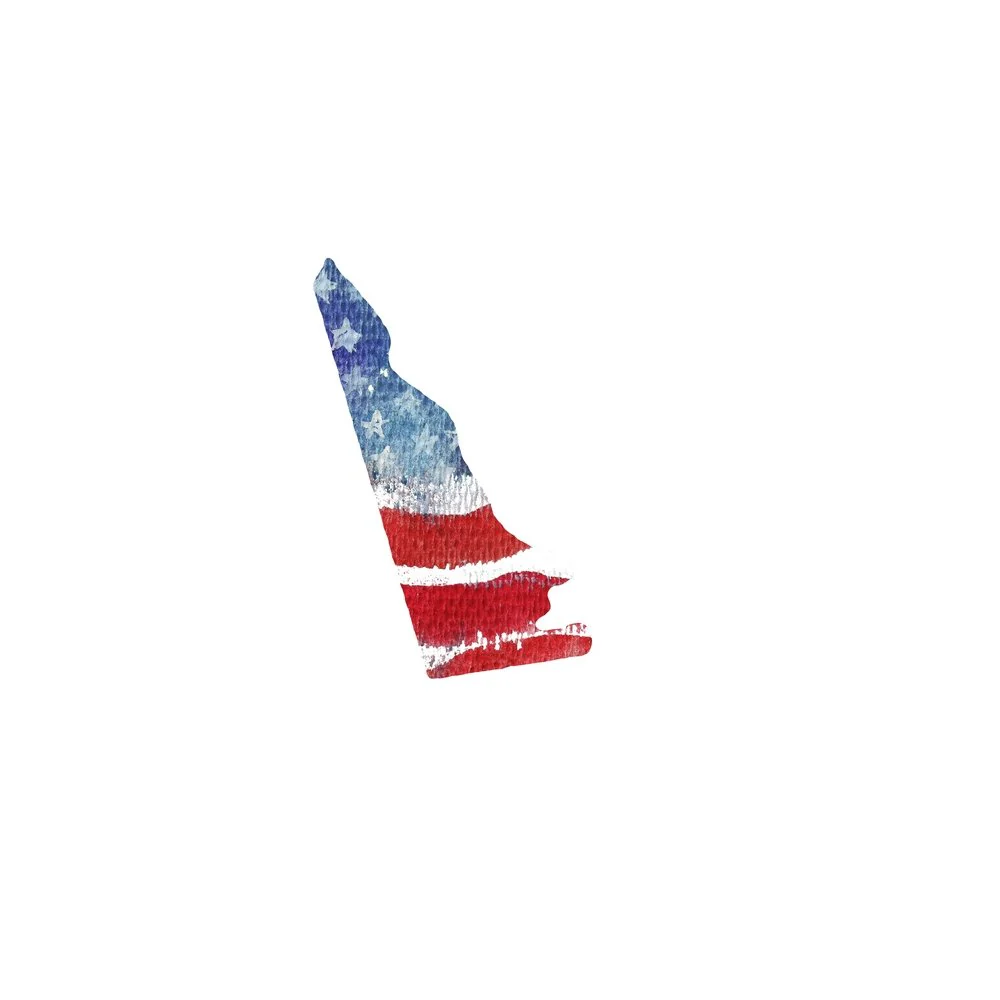 Watercolor Textured Flag Fabric Panel - Delaware