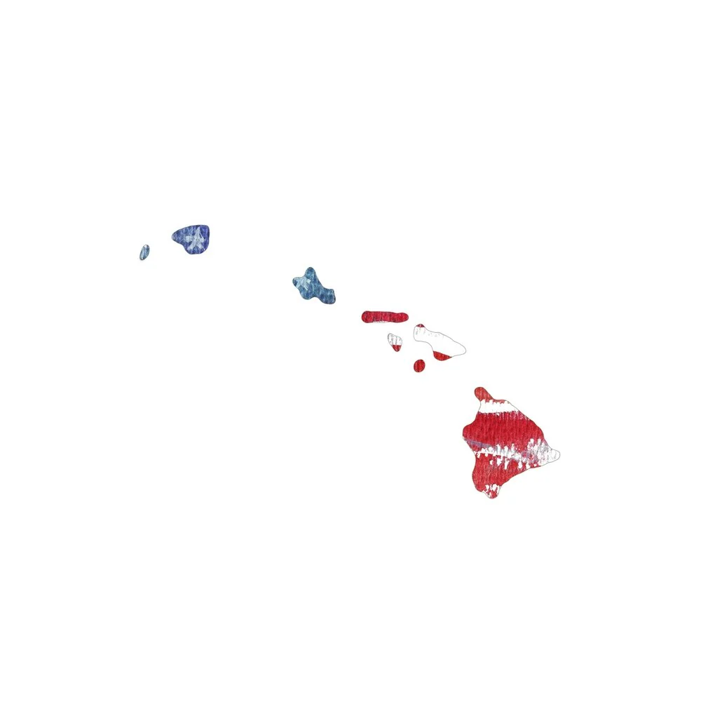 Watercolor Textured Flag Fabric Panel - Hawaii