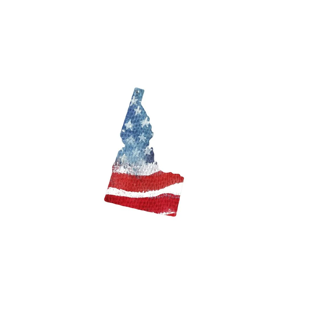Watercolor Textured Flag Fabric Panel - Idaho