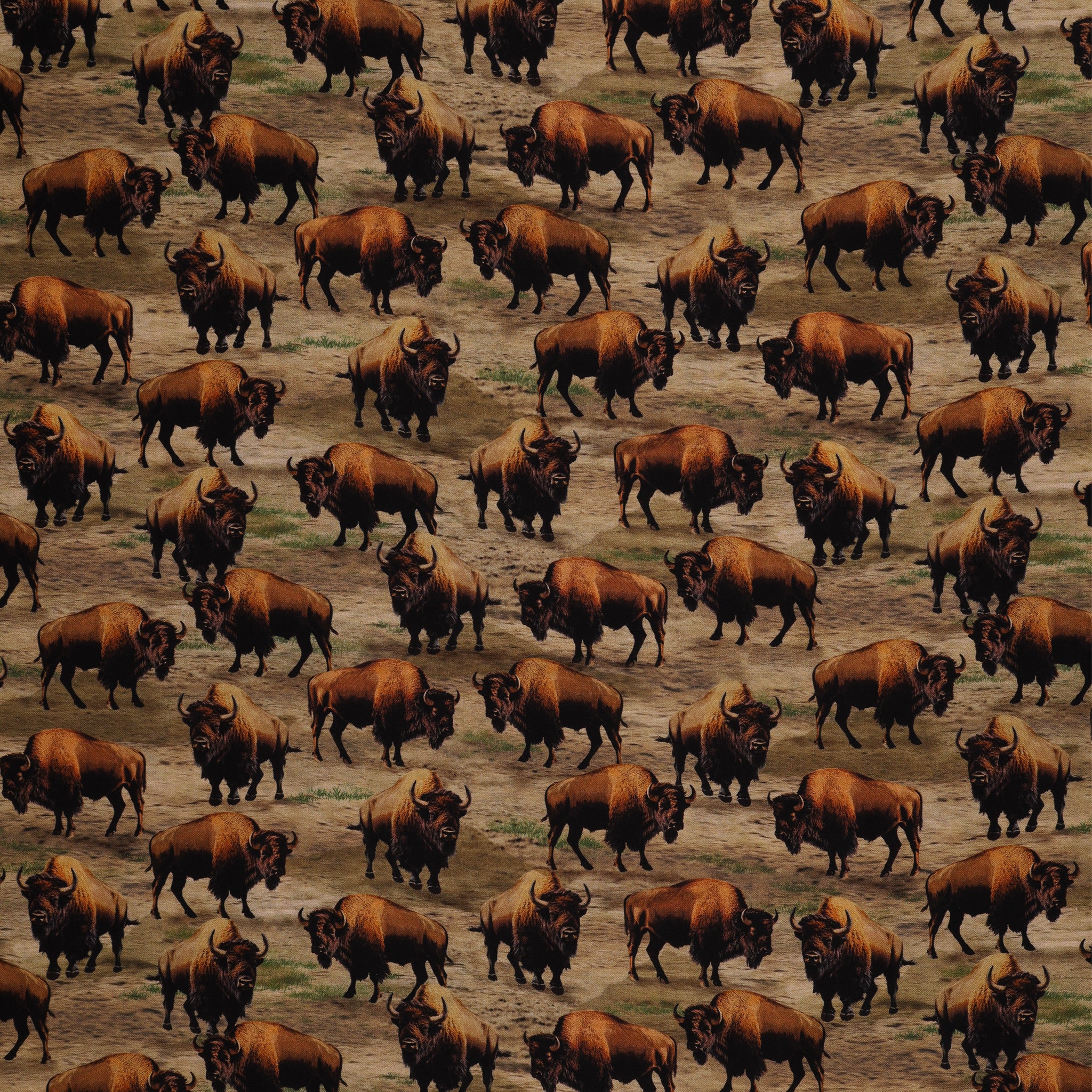 Wild Kingdom Fabric Collection - Burly Bison